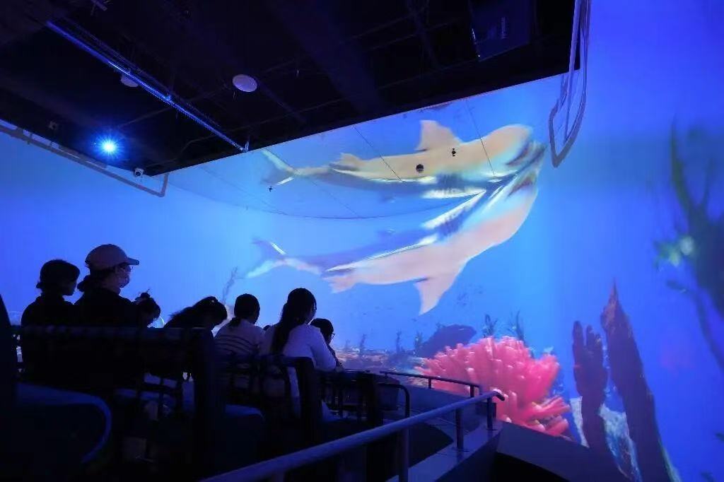 Fully Wrapped Dome Projection